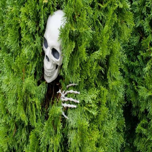 دانلود آهنگ کسی که از هیچی همه‌ چیو ساخت بدون دلیلِ خاص بی‌ حساب 